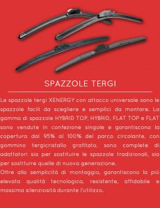 Visualizza tutte le spazzole Xenergy